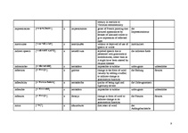 Összefoglalók, jegyzetek 'Terminology', 9.                