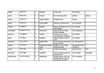 Összefoglalók, jegyzetek 'Terminology', 17.                