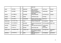 Összefoglalók, jegyzetek 'Terminology', 18.                