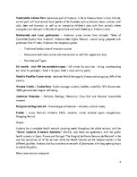 Összefoglalók, jegyzetek 'Andorra Web/Social Media Presence and Publicity Analysis', 4.                