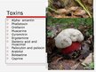 Prezentációk 'Mushroom Poisoning', 6.                