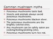 Prezentációk 'Mushroom Poisoning', 10.                