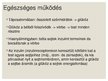 Prezentációk 'A cukorbetegség', 3.                