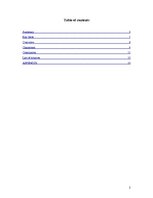 Kutatási anyagok 'Characters and Main Discoveries Reading the "Little Prince" by De Saint-Exupéry', 2.                