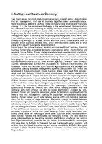 Esszék 'Strategic Plan for Company "Finnair"', 4.                