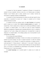 Kutatási anyagok 'Le sommeil (Miegs)', 2.                