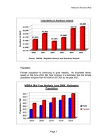 Üzleti tervek 'Business Plan - Maternity Wear', 5.                