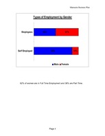 Üzleti tervek 'Business Plan - Maternity Wear', 8.                