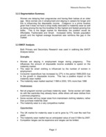 Üzleti tervek 'Business Plan - Maternity Wear', 15.                