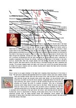 Összefoglalók, jegyzetek 'The Cardio-Respiratory and Energy Systems', 1.                