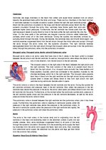 Összefoglalók, jegyzetek 'The Cardio-Respiratory and Energy Systems', 2.                