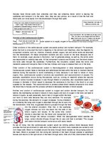 Összefoglalók, jegyzetek 'The Cardio-Respiratory and Energy Systems', 5.                