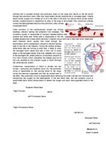 Összefoglalók, jegyzetek 'The Cardio-Respiratory and Energy Systems', 6.                