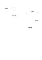 Összefoglalók, jegyzetek 'The Cardio-Respiratory and Energy Systems', 14.                