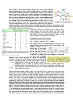 Összefoglalók, jegyzetek 'The Cardio-Respiratory and Energy Systems', 17.                