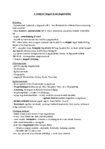 Összefoglalók, jegyzetek 'A magyar állam megalapítása', 1.                