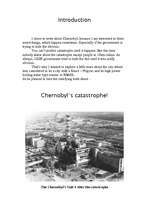 Kutatási anyagok 'Chernobyl', 2.                