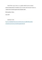 Minták 'Email über Nationalstolz', 2.                