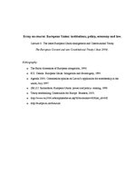 Esszék 'The Latest European Union Enlargement and Constitutional Treaty', 1.                