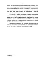 Esszék 'The Latest European Union Enlargement and Constitutional Treaty', 4.                