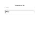 Kutatási anyagok 'Rövid összefoglaló a kínai Covid-19 vakcinák hatékonyságáról', 2.                