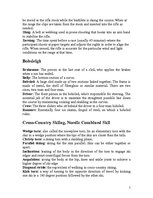 Összefoglalók, jegyzetek 'Winter Sports Terminology', 5.                