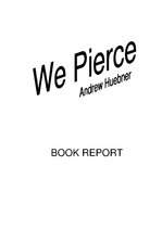 Összefoglalók, jegyzetek 'Report about Book "We Pierce"', 1.                