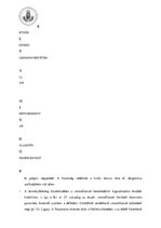 Összefoglalók, jegyzetek 'Emelt szintű történelem érettségi felkészítő anyag', 2.                