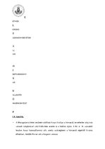 Összefoglalók, jegyzetek 'Emelt szintű történelem érettségi felkészítő anyag', 4.                