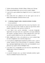 Összefoglalók, jegyzetek 'Emelt szintű történelem érettségi felkészítő anyag', 25.                