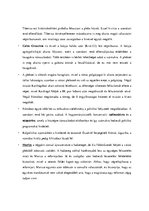 Összefoglalók, jegyzetek 'Emelt szintű történelem érettségi felkészítő anyag', 27.                