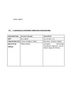 Összefoglalók, jegyzetek 'Emelt szintű történelem érettségi felkészítő anyag', 43.                