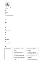 Összefoglalók, jegyzetek 'Emelt szintű történelem érettségi felkészítő anyag', 44.                