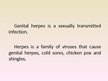 Prezentációk 'Herpes Viruses', 3.                
