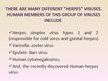 Prezentációk 'Herpes Viruses', 5.                