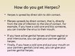 Prezentációk 'Herpes Viruses', 14.                