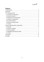 Esszék 'A Ryanair online marketing tevékenységének bemutatása', 2.                