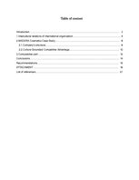 Kutatási anyagok 'Intercultural Relations as the Organization's "Madara Cosmetics" International C', 2.                