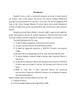 Kutatási anyagok 'Intercultural Relations as the Organization's "Madara Cosmetics" International C', 3.                