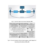 Kutatási anyagok 'Intercultural Relations as the Organization's "Madara Cosmetics" International C', 17.                