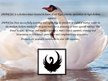 Prezentációk 'Fashion House "Swan"', 2.                