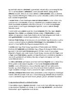 Összefoglalók, jegyzetek 'Magyar - török küzdelmek és együttélés a 15-17.században', 5.                