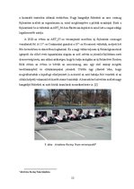 Záródolgozatok 'Keréktárcsa és keréktárcsa mérő készülék tervezése Formula Student versenyautóho', 21.                
