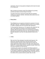 Minták 'Home Reading Report', 2.                