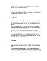 Minták 'Home Reading Report', 3.                