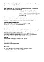 Összefoglalók, jegyzetek 'Történelem érettségi tétel, Károly Róbert', 2.                