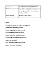 Prezentációk 'Növényrendszertan', 5.                