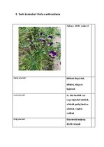 Prezentációk 'Növényrendszertan', 6.                