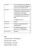 Prezentációk 'Növényrendszertan', 9.                