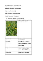 Prezentációk 'Növényrendszertan', 10.                